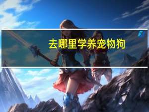 去哪里学养宠物狗