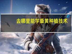 去哪里能学桑黄种植技术