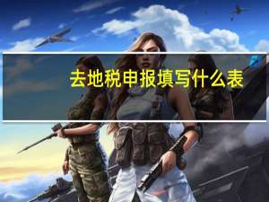 去地税申报填写什么表
