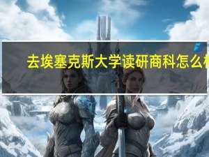 去埃塞克斯大学读研 商科 怎么样