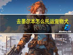 去墨尔本怎么托运宠物犬