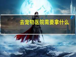 去宠物医院需要拿什么