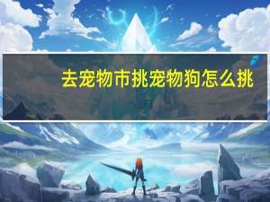去宠物市挑宠物狗怎么挑