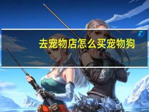 去宠物店怎么买宠物狗