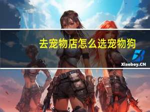 去宠物店怎么选宠物狗