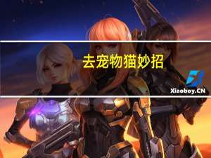 去宠物猫妙招