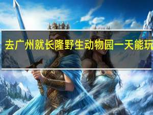 去广州就长隆野生动物园一天能玩完吗