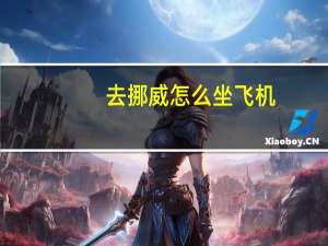 去挪威怎么坐飞机