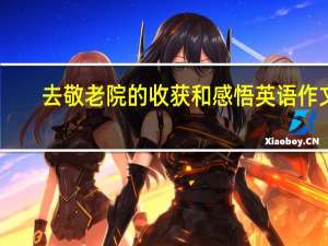 去敬老院的收获和感悟英语作文（去敬老院的收获）