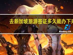 去新加坡旅游签证多久能办下来