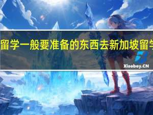 去新加坡留学一般要准备的东西去新加坡留学需要准备什么