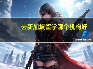 去新加坡留学哪个机构好