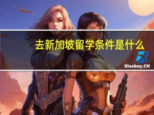 去新加坡留学条件是什么