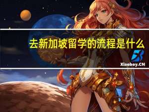 去新加坡留学的流程是什么