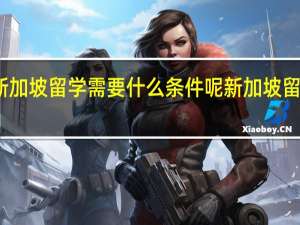 去新加坡留学需要什么条件呢 新加坡留学多少钱