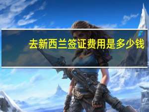 去新西兰签证费用是多少钱(去新西兰旅游签证要多少钱)
