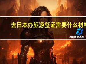 去日本办旅游签证需要什么材料(去日本办签证需要哪些材料)