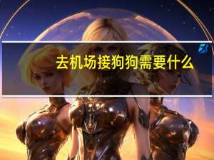 去机场接狗狗需要什么
