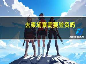 去柬埔寨需要验资吗
