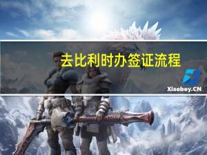 去比利时办签证流程