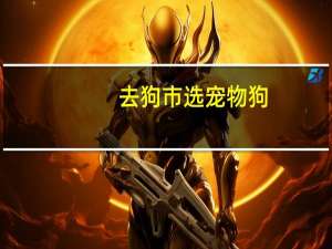去狗市选宠物狗