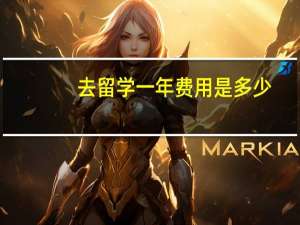 去留学一年费用是多少