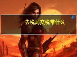 去税局交税带什么
