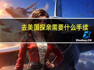 去美国探亲需要什么手续