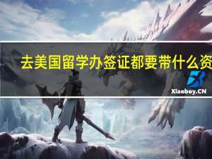 去美国留学办签证都要带什么资料