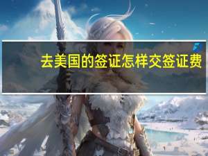 去美国的签证怎样交签证费