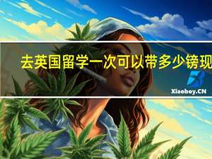 去英国留学一次可以带多少镑现金