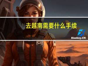 去越南需要什么手续