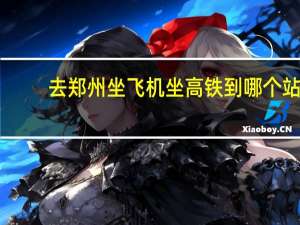 去郑州坐飞机坐高铁到哪个站