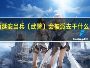 去陕西延安当兵〔武警〕会被派去干什么〔下了连后〕