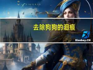 去除狗狗的泪痕