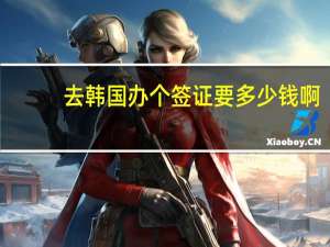 去韩国办个签证要多少钱啊