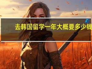 去韩国留学一年大概要多少钱