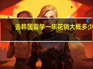 去韩国留学一年花销大概多少