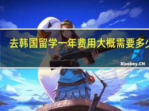去韩国留学一年费用大概需要多少钱