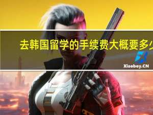 去韩国留学的手续费大概要多少