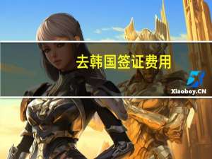 去韩国签证费用(去韩国签证费用多少钱)