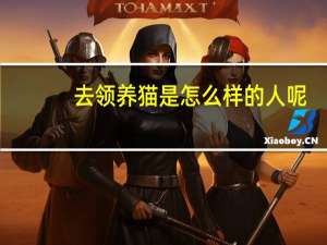 去领养猫是怎么样的人呢