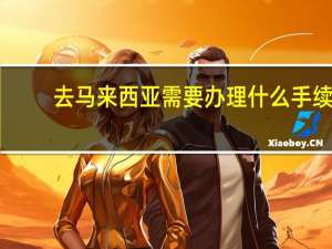 去马来西亚需要办理什么手续