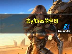 去y加ies的例句