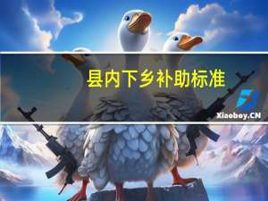 县内下乡补助标准