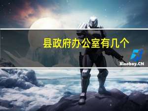县政府办公室有几个