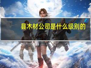 县木材公司是什么级别的