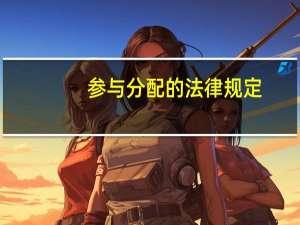 参与分配的法律规定