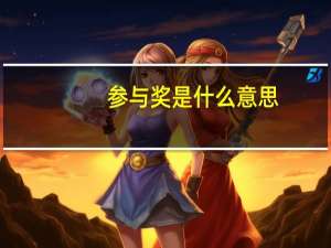 参与奖是什么意思
