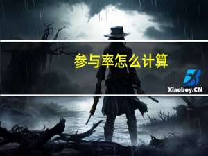 参与率怎么计算